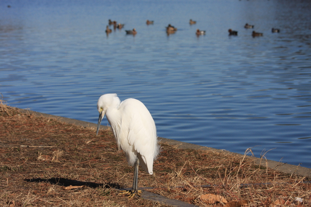 ●・・・何か悩み事でも・・・ ●