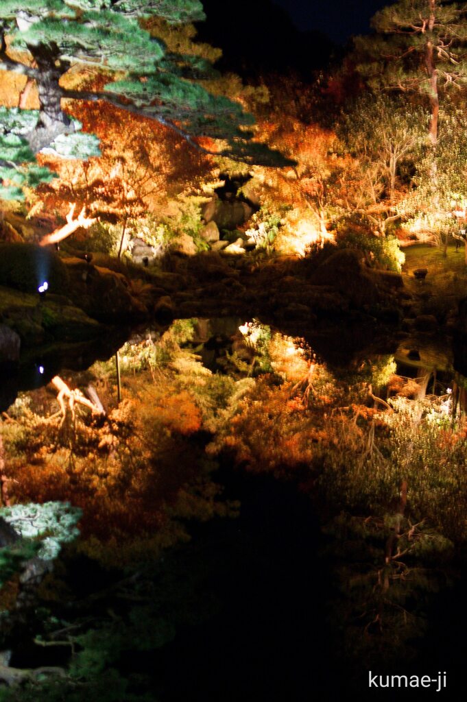 由志園　紅葉ライトアップ