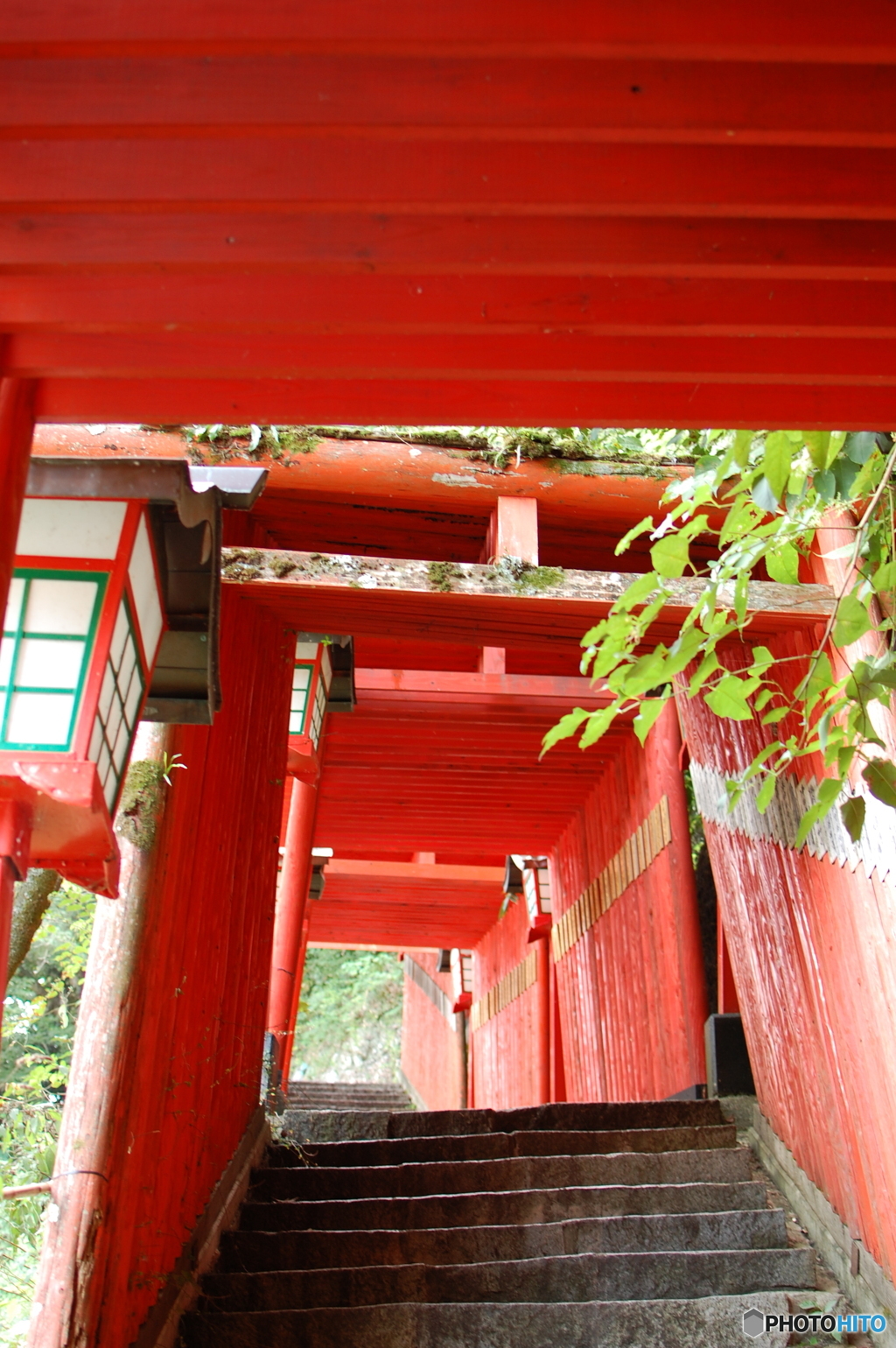 山陰の千本鳥居