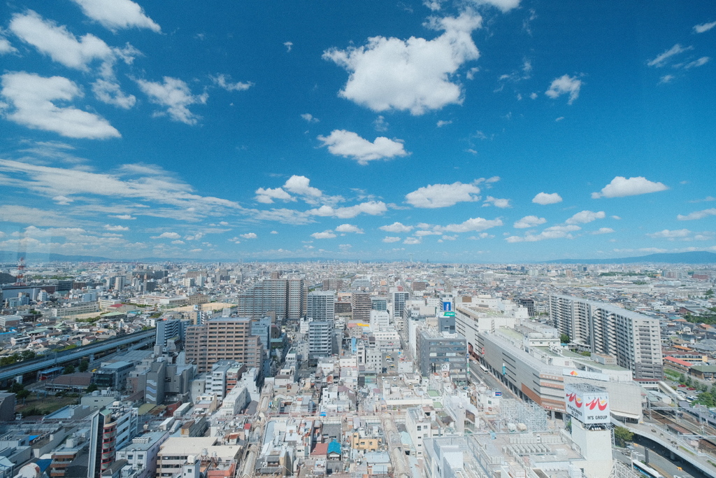 堺市役所展望台