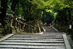 朝の春日大社