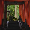 鳥居から見る景色