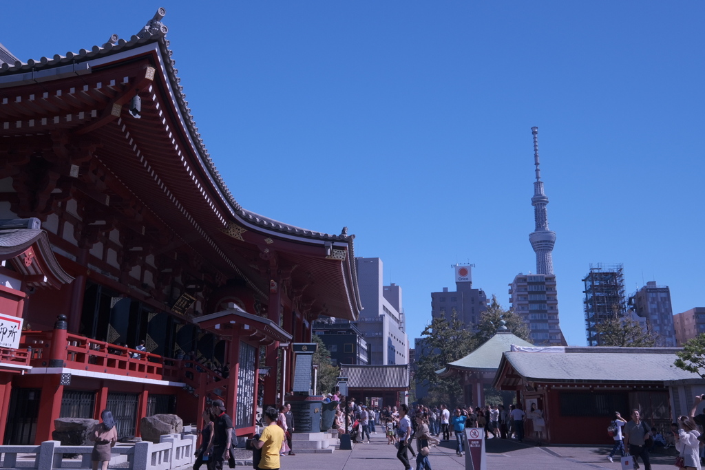 スカイツリーと浅草寺