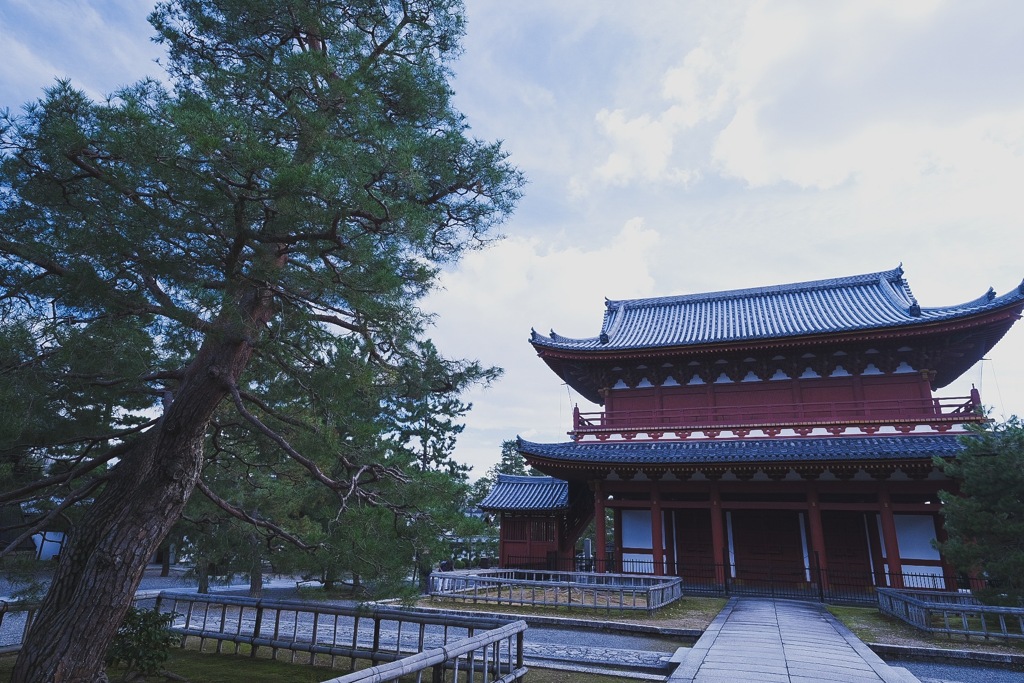 妙心寺