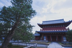 妙心寺