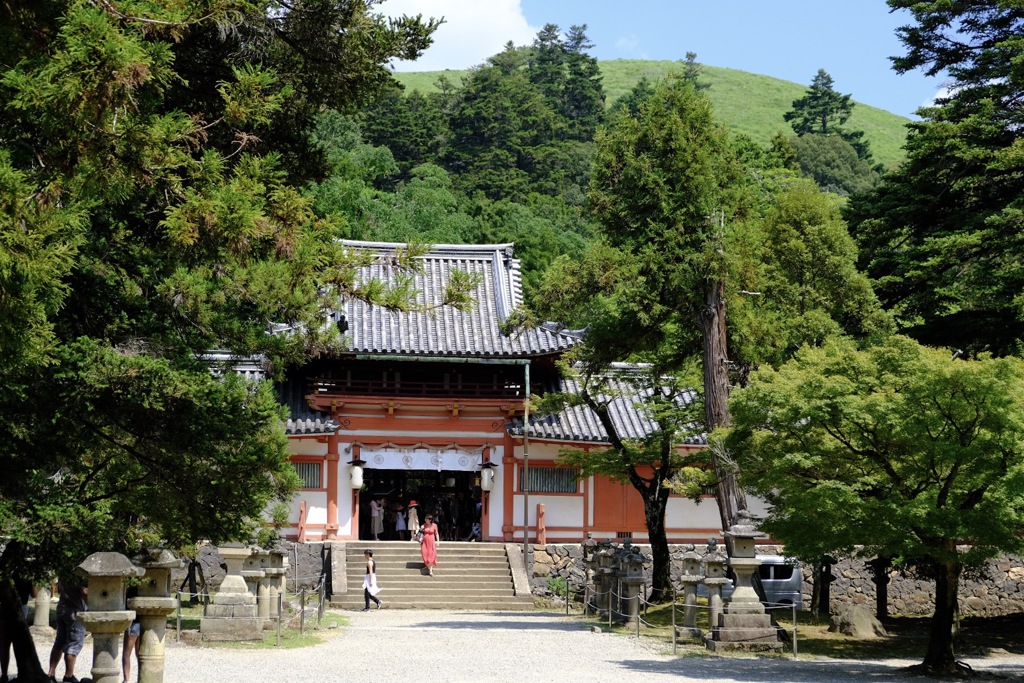 夏の手向山八幡宮
