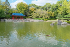 大仙公園 日本庭園