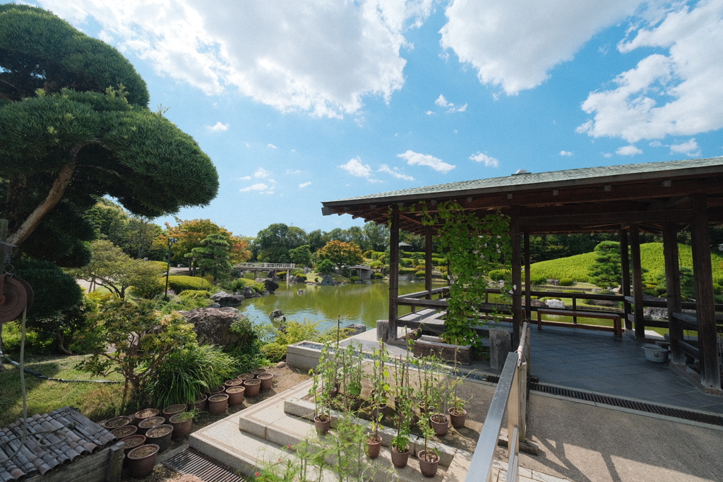 大仙公園 日本庭園