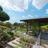 大仙公園 日本庭園