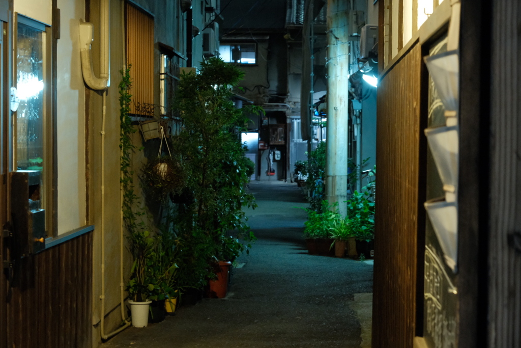 夜散歩