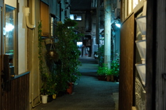 夜散歩
