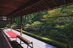 日本の庭