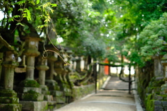 朝の奈良