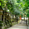 朝の奈良