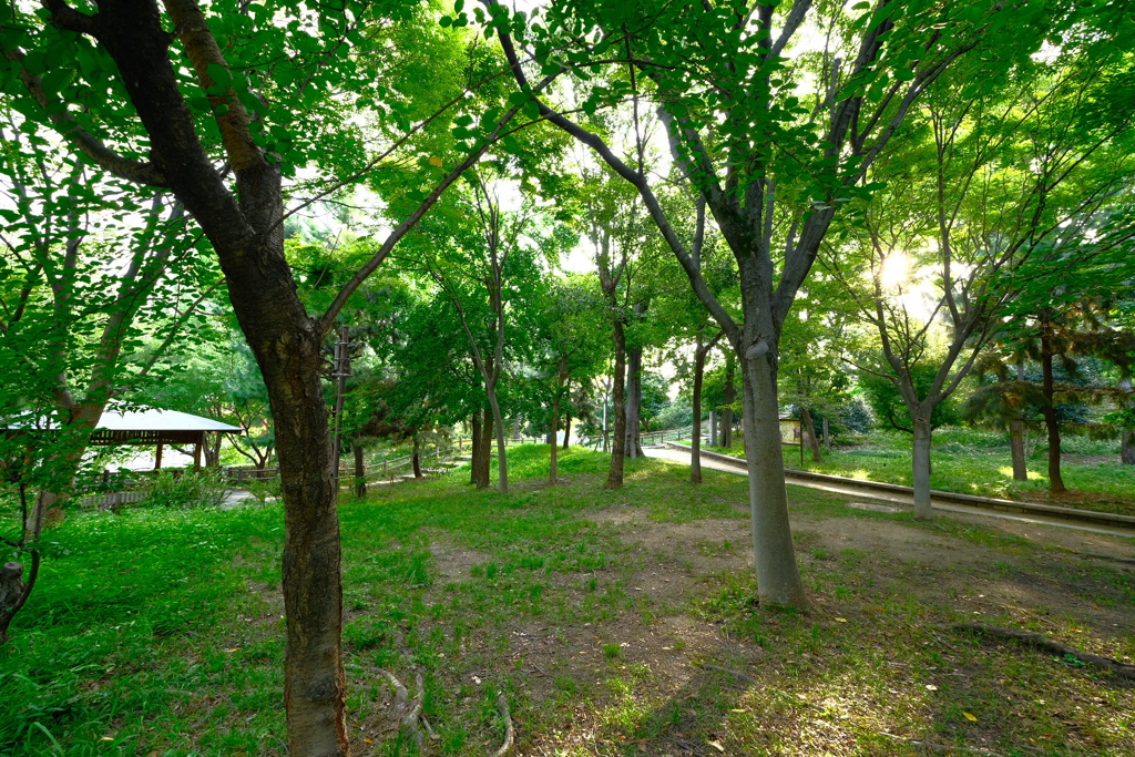 天王寺公園