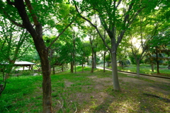 天王寺公園