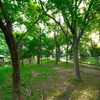 天王寺公園