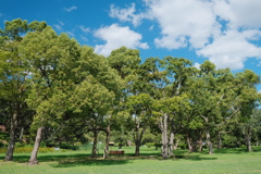 大仙公園