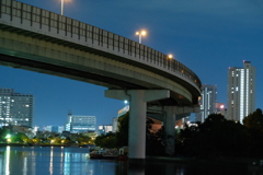 夜散歩