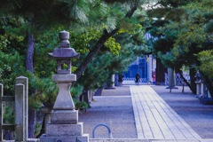 神社スナップ