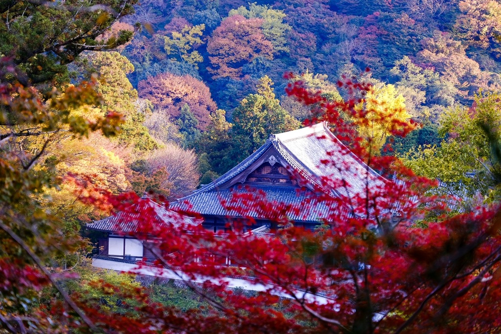 長谷寺