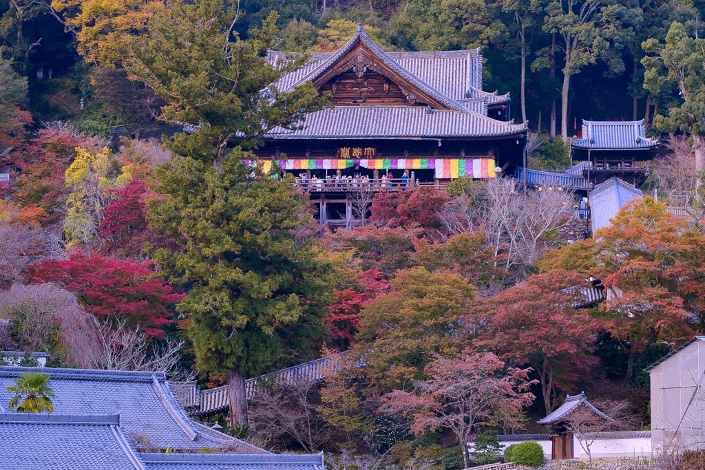 長谷寺