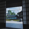 部屋から見る庭