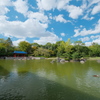 大仙公園 日本庭園