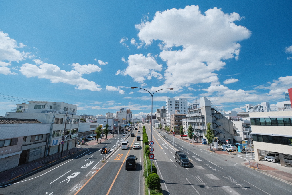 歩道橋から