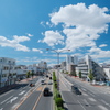 歩道橋から