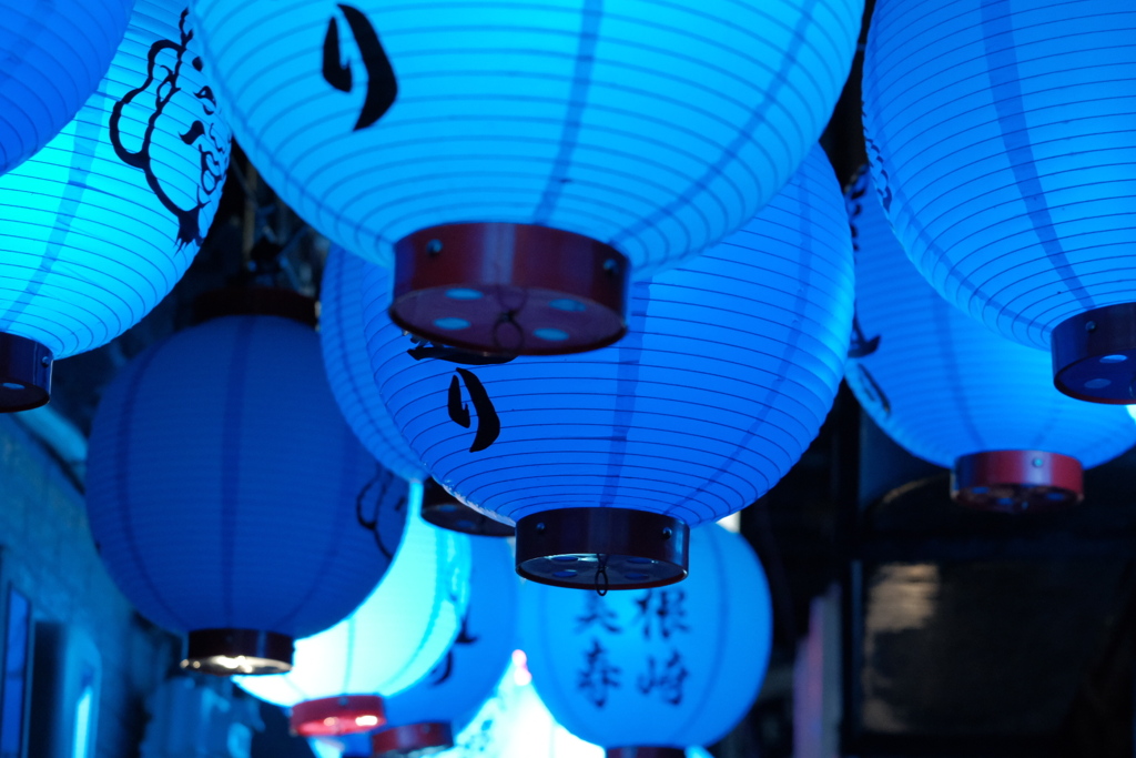 夜散歩