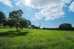大山公園