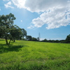 大山公園