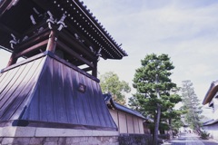 妙心寺