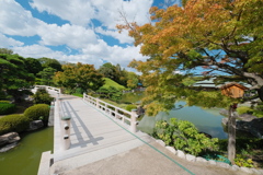 大仙公園 日本庭園