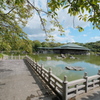 大仙公園 日本庭園