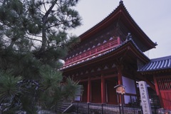縁側から
