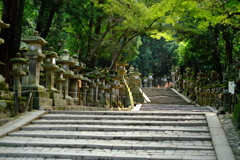 春日大社