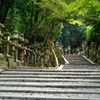 春日大社