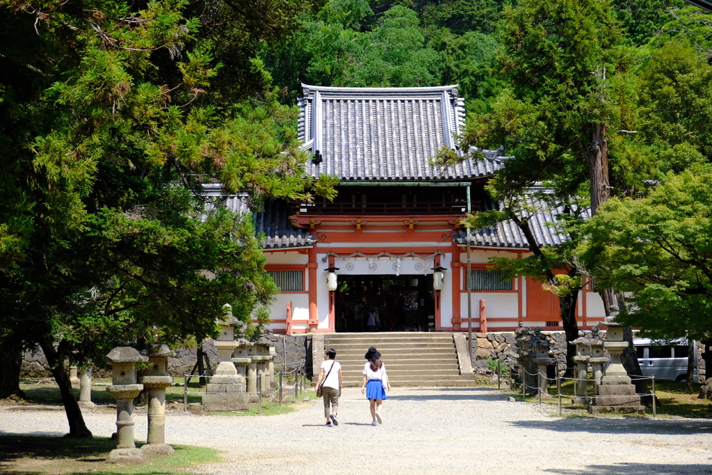 夏の手向山八幡宮