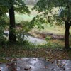 雨濡れ曜日