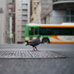 待ってー乗りまーす
