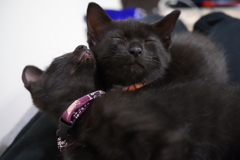 うっとり