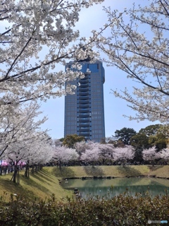駿府城公園内　２