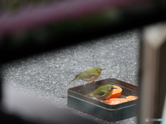 盗撮１