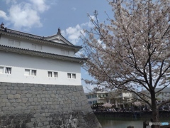 駿府城公園　　東御門