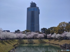 駿府城公園内　３