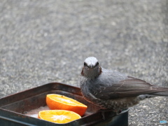 盗聴３－４