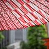 紅白の色が美しい和傘