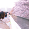 桜を撮る女性を撮る